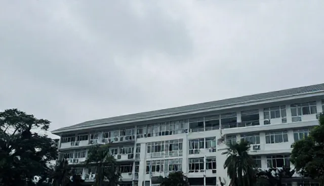 生产线配套设备性能优化与实际应用分析